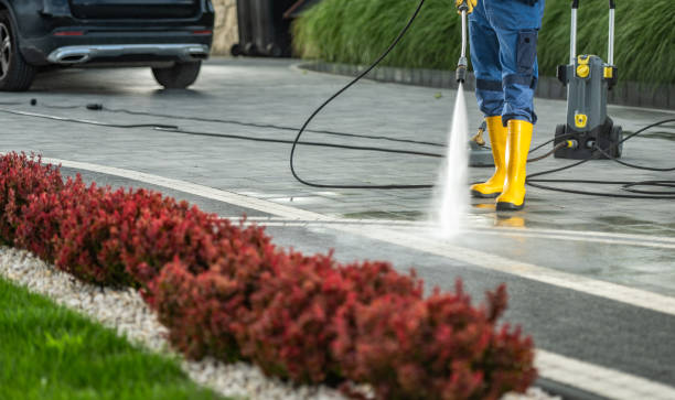 Best Residential Exterior Washing  in Pecan Plantation, TX